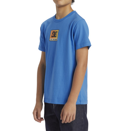 Blue Kids' DC Shoes Racer T-Shirt | DC-1792834