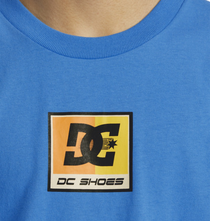 Blue Kids' DC Shoes Racer T-Shirt | DC-1792834