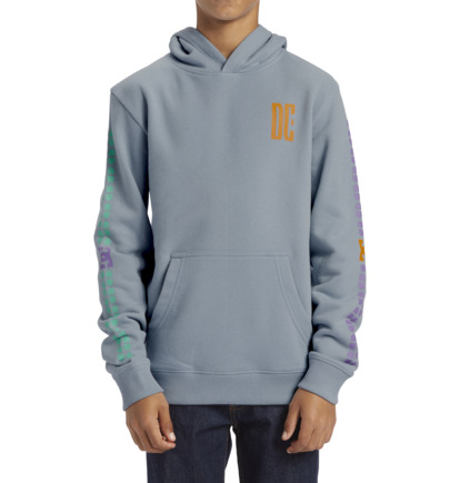 Blue Kids' DC Shoes Sportster Pullover Hoodie | DC-1768450