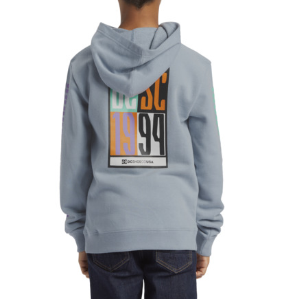 Blue Kids' DC Shoes Sportster Pullover Hoodie | DC-1768450