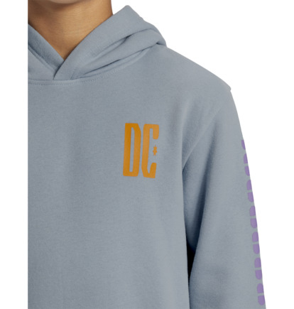 Blue Kids' DC Shoes Sportster Pullover Hoodie | DC-1768450