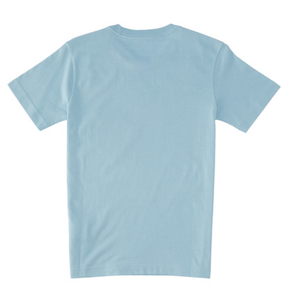 Blue Kids' DC Shoes World Renowed T-Shirt | DC-9570618