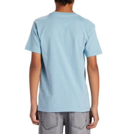 Blue Kids' DC Shoes World Renowed T-Shirt | DC-9570618