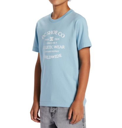 Blue Kids' DC Shoes World Renowed T-Shirt | DC-9570618