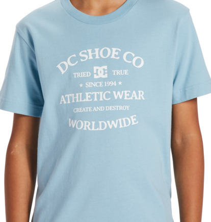 Blue Kids' DC Shoes World Renowed T-Shirt | DC-9570618