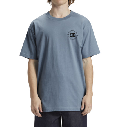 Blue Men DC Shoes DC Star Pilot T-Shirt | DC-4389072