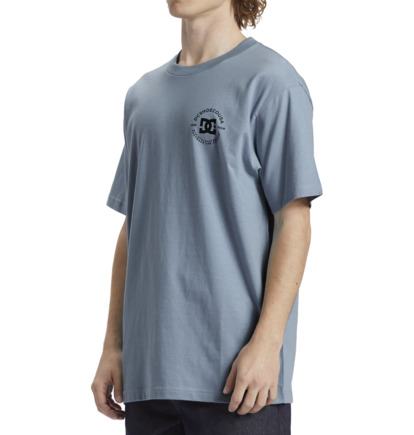 Blue Men DC Shoes DC Star Pilot T-Shirt | DC-4389072