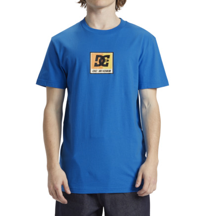 Blue Men DC Shoes Racer T-Shirt | DC-4789120