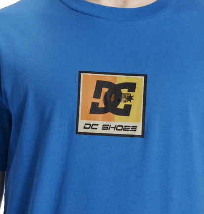 Blue Men DC Shoes Racer T-Shirt | DC-4789120