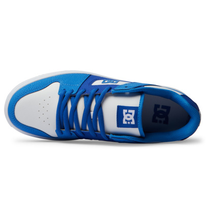 Blue / Blue / White Men DC Shoes Manteca Sneakers | DC-6594031