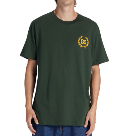 Dark Green Men DC Shoes Lifes Changing T-Shirt | DC-6789105