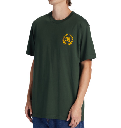 Dark Green Men DC Shoes Lifes Changing T-Shirt | DC-6789105