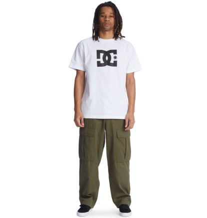 Dark Green Men DC Shoes The Tundra 2022 Cargo Pants | DC-5902637