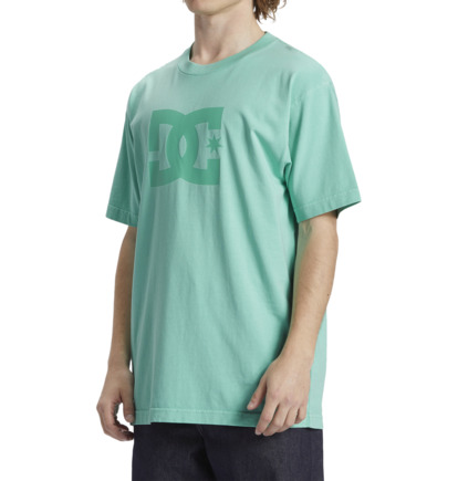 Green Wash Men DC Shoes DC Star T-Shirt | DC-2387509