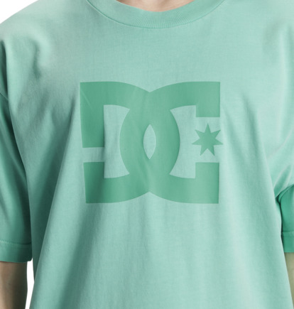 Green Wash Men DC Shoes DC Star T-Shirt | DC-2387509