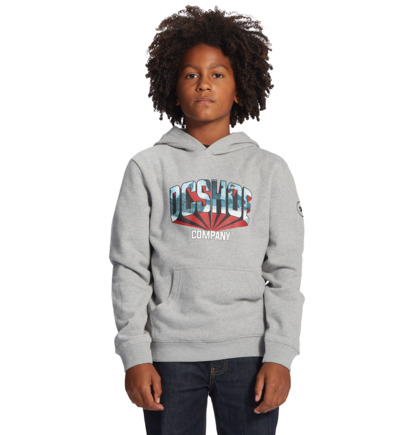 Grey Kids' DC Shoes Blabac Jahmir Hoodie | DC-6591374