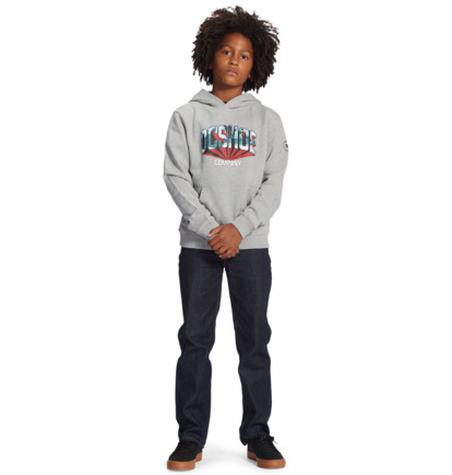 Grey Kids' DC Shoes Blabac Jahmir Hoodie | DC-6591374