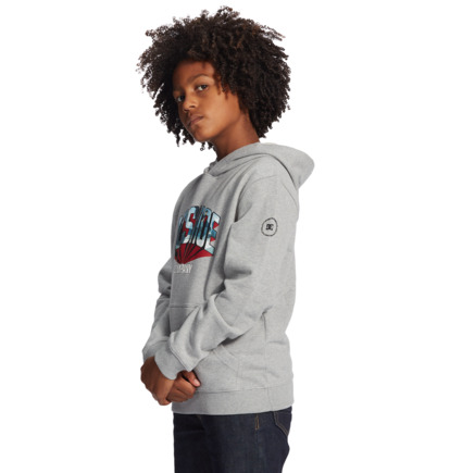 Grey Kids' DC Shoes Blabac Jahmir Hoodie | DC-6591374