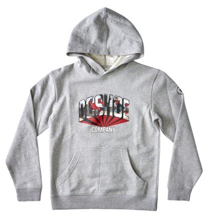 Grey Kids\' DC Shoes Blabac Jahmir Hoodie | DC-6591374