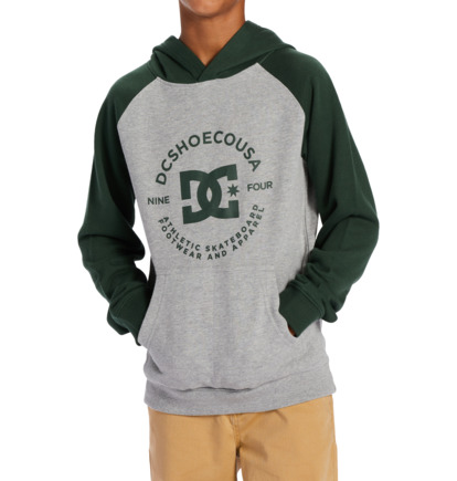 Grey Kids' DC Shoes DC Star Pilot Hoodie | DC-4780396