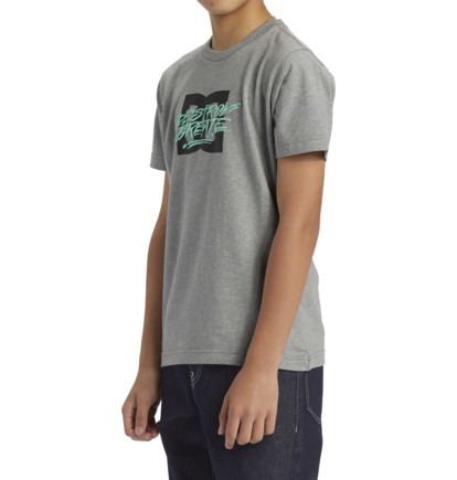 Grey Kids' DC Shoes Flyer T-Shirt | DC-5324807