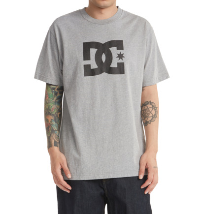 Grey Men DC Shoes DC Star T-Shirt | DC-7012954