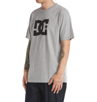 Grey Men DC Shoes DC Star T-Shirt | DC-7012954