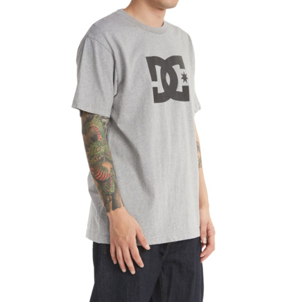 Grey Men DC Shoes DC Star T-Shirt | DC-7012954