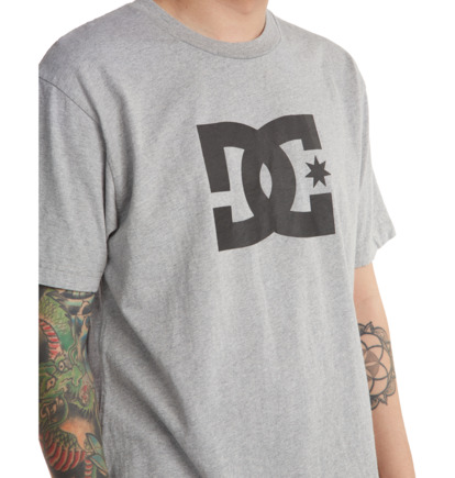 Grey Men DC Shoes DC Star T-Shirt | DC-7012954