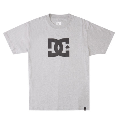 Grey Men DC Shoes DC Star T-Shirt | DC-7012954