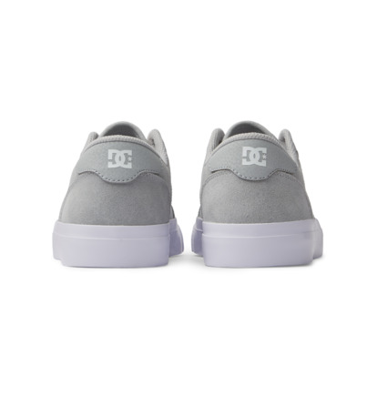 Grey / White Men DC Shoes Teknic Sneakers | DC-1987254