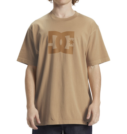 Khaki Men DC Shoes DC Star T-Shirt | DC-8214709