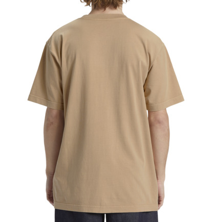 Khaki Men DC Shoes DC Star T-Shirt | DC-8214709