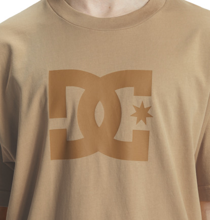 Khaki Men DC Shoes DC Star T-Shirt | DC-8214709