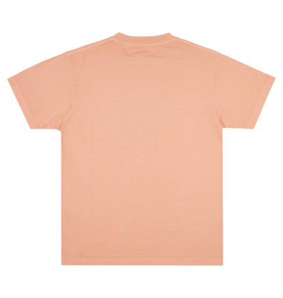 Light Orange Men DC Shoes Shatter T-Shirt | DC-6193425