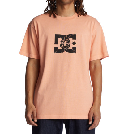 Light Orange Men DC Shoes Shatter T-Shirt | DC-6193425