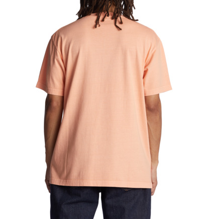 Light Orange Men DC Shoes Shatter T-Shirt | DC-6193425