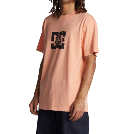 Light Orange Men DC Shoes Shatter T-Shirt | DC-6193425