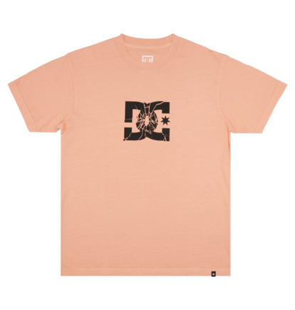 Light Orange Men DC Shoes Shatter T-Shirt | DC-6193425