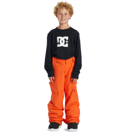 Orange Kids' DC Shoes Banshee Technical Snowboard Pants | DC-7968531