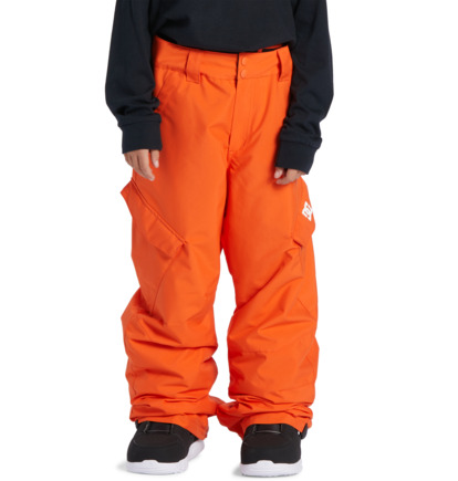 Orange Kids\' DC Shoes Banshee Technical Snowboard Pants | DC-7968531