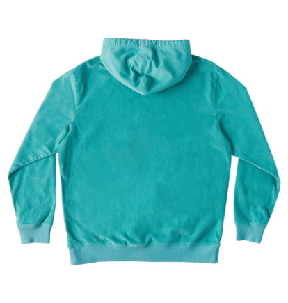 Turquoise Men DC Shoes Abrupter Hoodie | DC-9513478