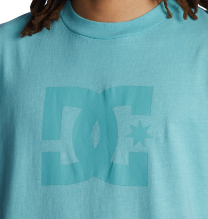 Turquoise Men DC Shoes DC Star Pigment Dye T-Shirt | DC-2681743