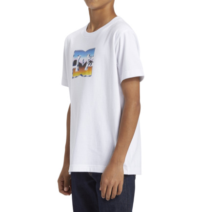 White Kids' DC Shoes Chrome T-Shirt | DC-1075623