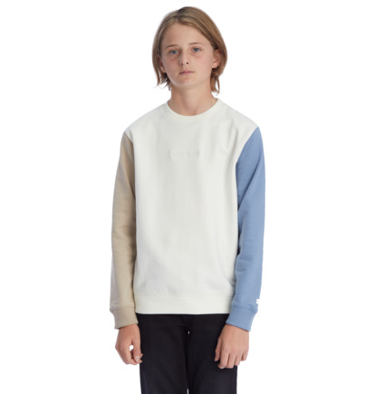 White Kids' DC Shoes Riot Sweatshirts | DC-1304269