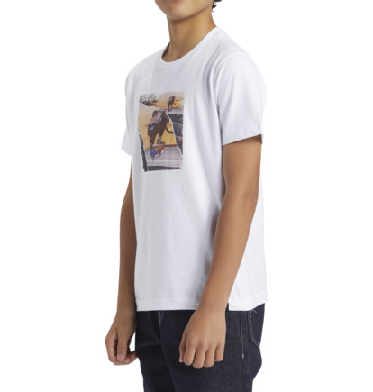 White Kids' DC Shoes Statewide T-Shirt | DC-0847253