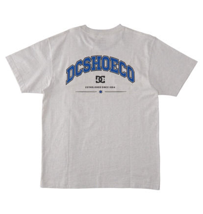 White Men DC Shoes Orientation T-Shirt | DC-1827359