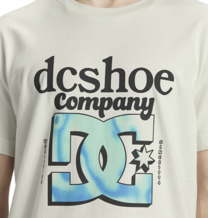 White Men DC Shoes Overspray T-Shirt | DC-7305826