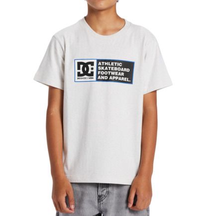 White / Blue Kids' DC Shoes DC Density Zone Short Sleeve T-Shirt | DC-1057263