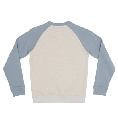 White / Blue Kids' DC Shoes DC Star Pilot Sweatshirts | DC-4512860